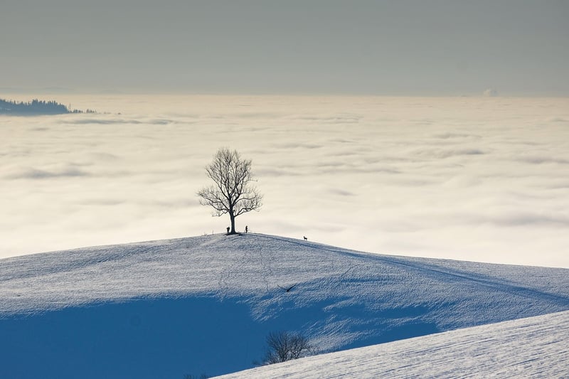 Mystical Outdoor Spaces