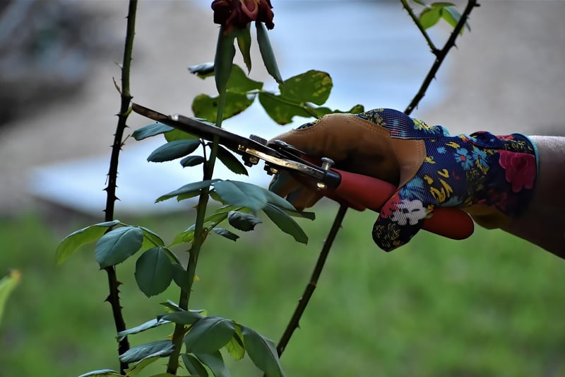 Enchanter's Pruner